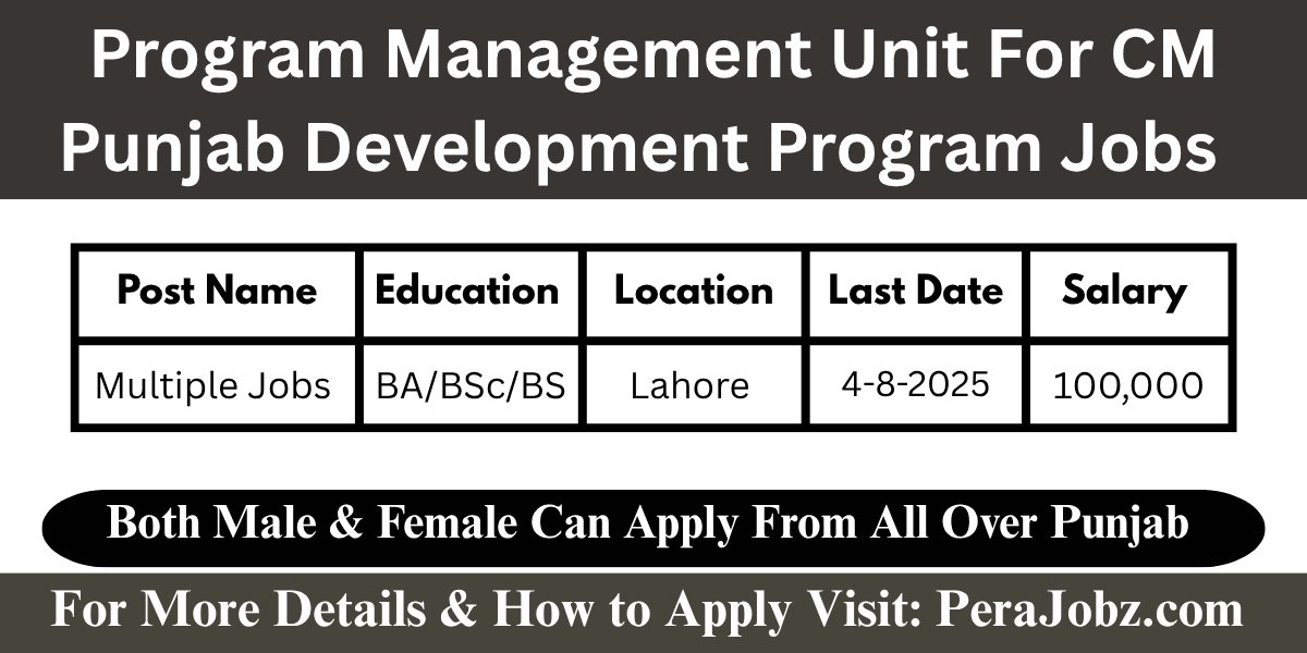 CM Punjab Development Program Jobs