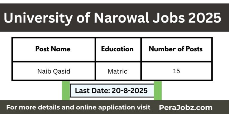 University of Narowal Jobs 2025