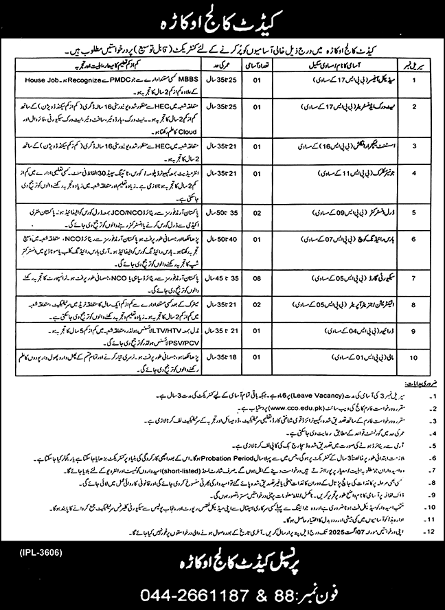 Cantt College Okara Jobs 2025